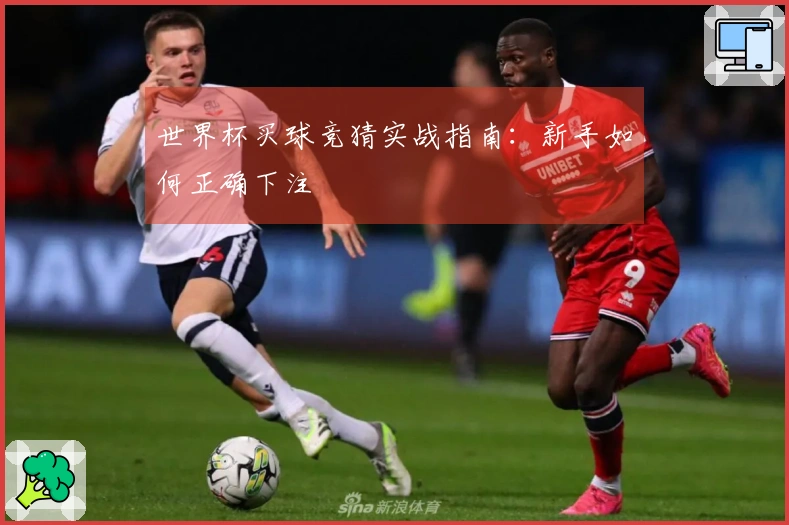 世界杯买球竞猜实战指南：新手如何正确下注
