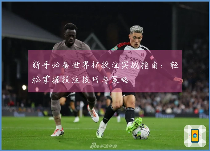 新手必备世界杯投注实战指南，轻松掌握投注技巧与策略