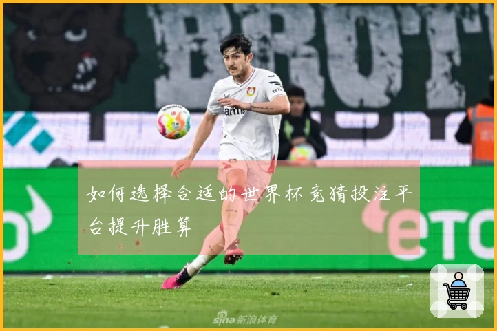 如何选择合适的世界杯竞猜投注平台提升胜算