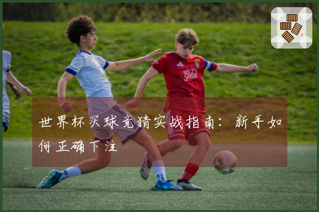 世界杯买球竞猜实战指南：新手如何正确下注