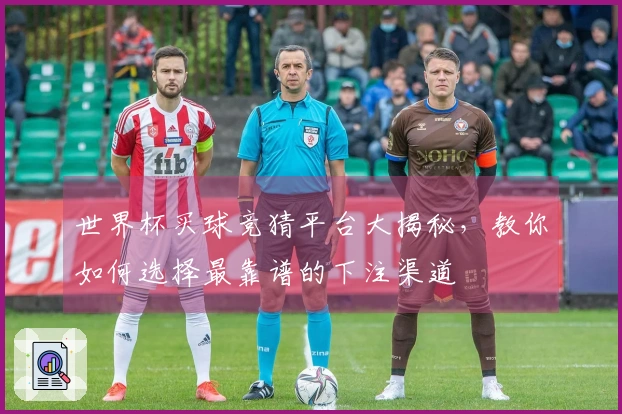 世界杯买球竞猜平台大揭秘，教你如何选择最靠谱的下注渠道