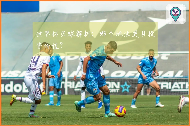 世界杯买球解析：哪个玩法更具投资价值？