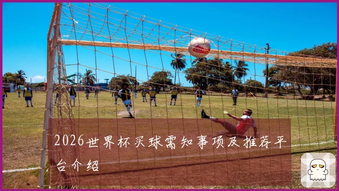 2026世界杯买球需知事项及推荐平台介绍