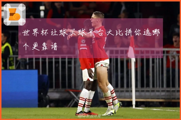 世界杯让球买球平台大比拼你选哪个更靠谱