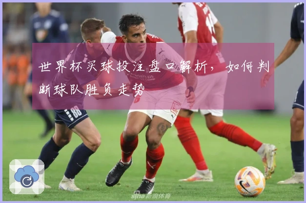 世界杯买球投注盘口解析，如何判断球队胜负走势