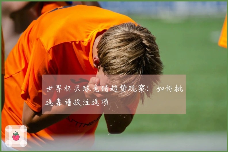 世界杯买球竞猜趋势观察：如何挑选靠谱投注选项