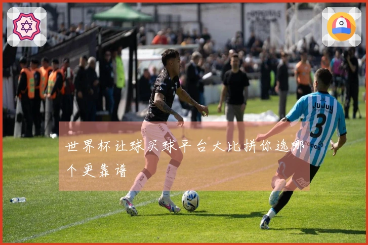 世界杯让球买球平台大比拼你选哪个更靠谱