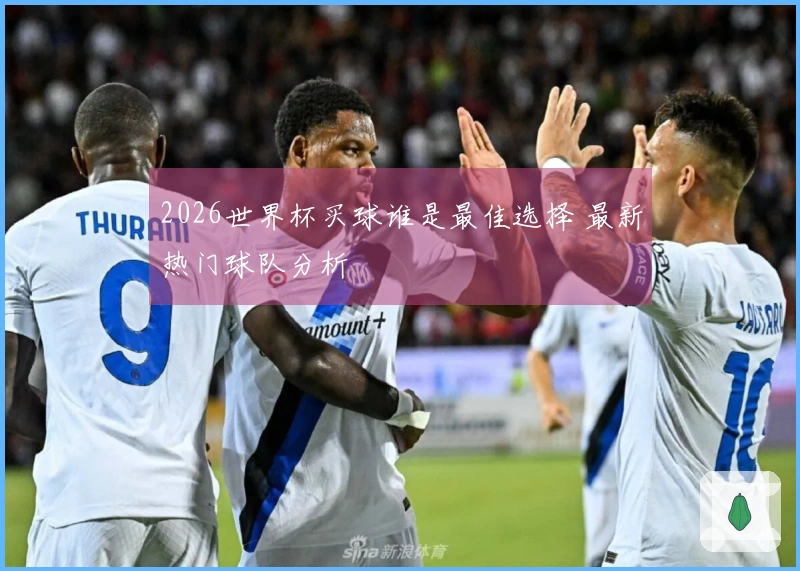 2026世界杯买球谁是最佳选择 最新热门球队分析