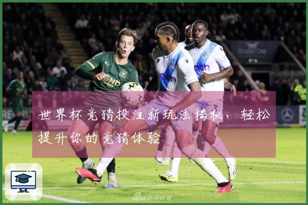 世界杯竞猜投注新玩法揭秘，轻松提升你的竞猜体验