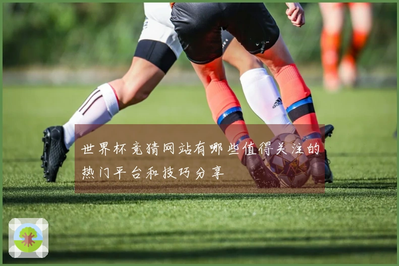 世界杯竞猜网站有哪些值得关注的热门平台和技巧分享