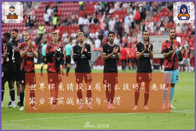 世界杯竞猜投注有什么技巧？老玩家分享实战经验与心得