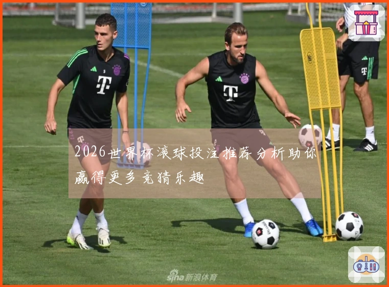 2026世界杯滚球投注推荐分析助你赢得更多竞猜乐趣