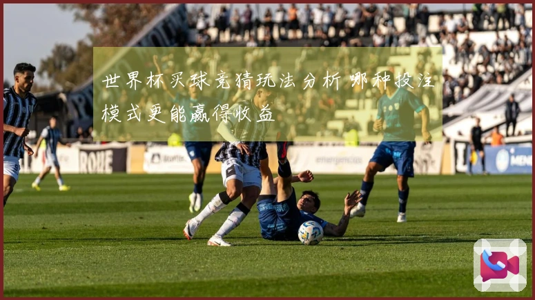 世界杯买球竞猜玩法分析 哪种投注模式更能赢得收益