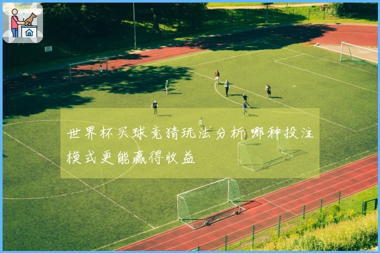 世界杯买球竞猜玩法分析 哪种投注模式更能赢得收益