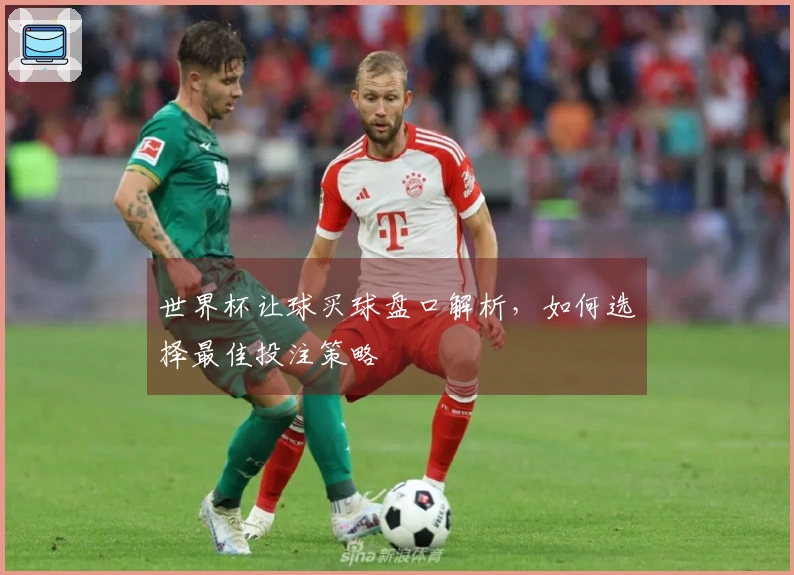 世界杯让球买球盘口解析,如何选择最佳投注策略