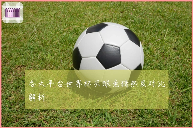 各大平台世界杯买球竞猜热度对比解析