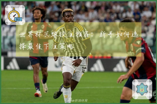 世界杯买球投注推荐：新手如何选择最佳下注策略