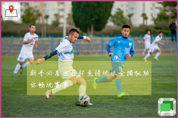 新手必看世界杯竞猜玩法全揭秘助你畅玩赛事